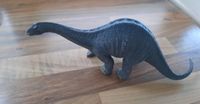 Schleich Dinosaurier Nordrhein-Westfalen - Neuss Vorschau