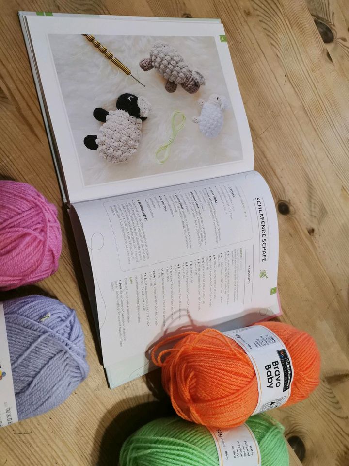 Häkelbuch babygeschenke plus Wolle häkeln stricken Handarbeit in Rosenfeld