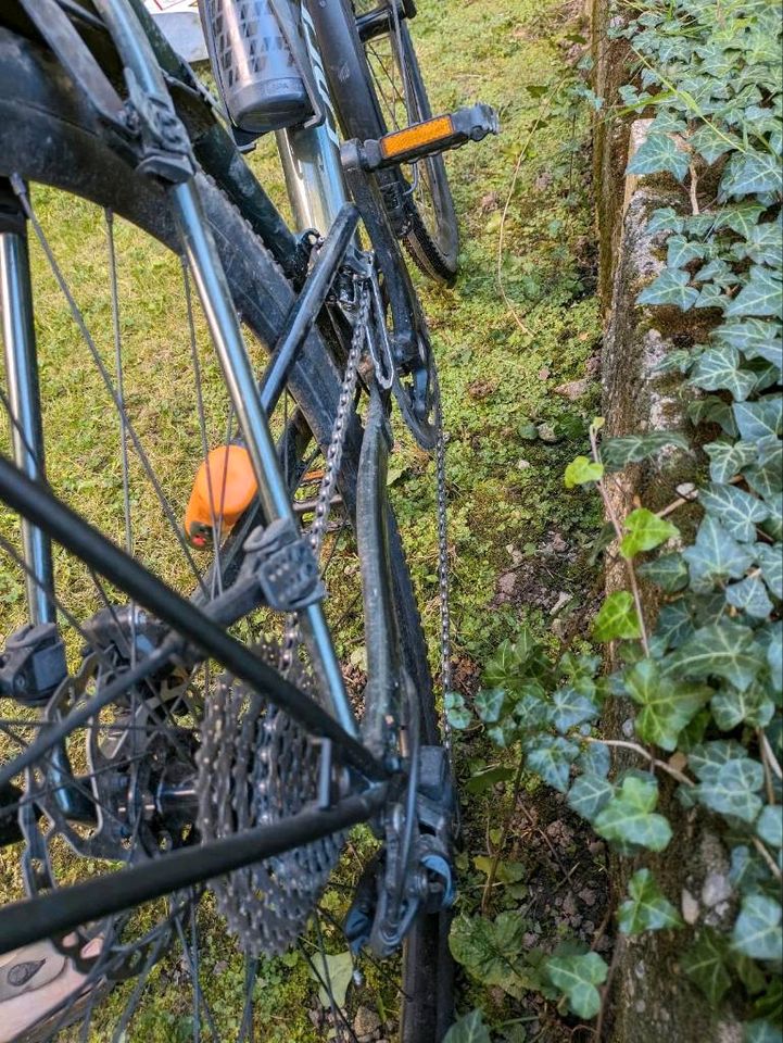 Specialized 2021 Diverge Elite E5 Gravelbike in Leipzig