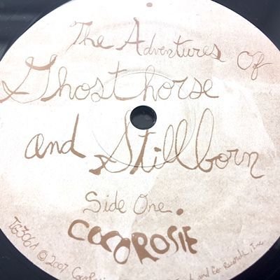 CocoRosie / The Adventures Of Ghosthorse And Stillborn LP, NM! in Angermünde