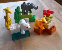 Lego Duplo Zootiere / Tierbabys (Set 4962) Niedersachsen - Wiefelstede Vorschau