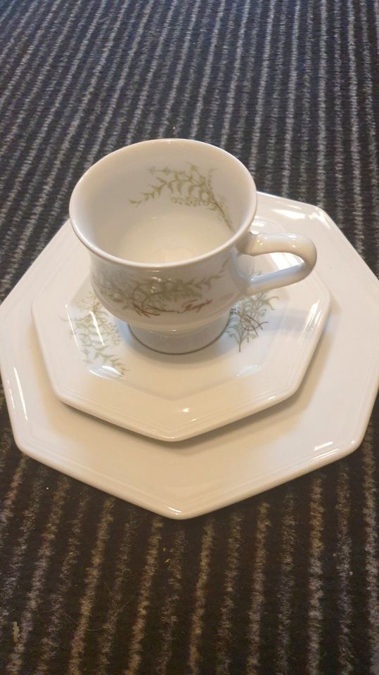 Villeroy & Boch, Gallo Leonardo, Sommerfarn, Kaffeeservice, 58 T. in Göttingen