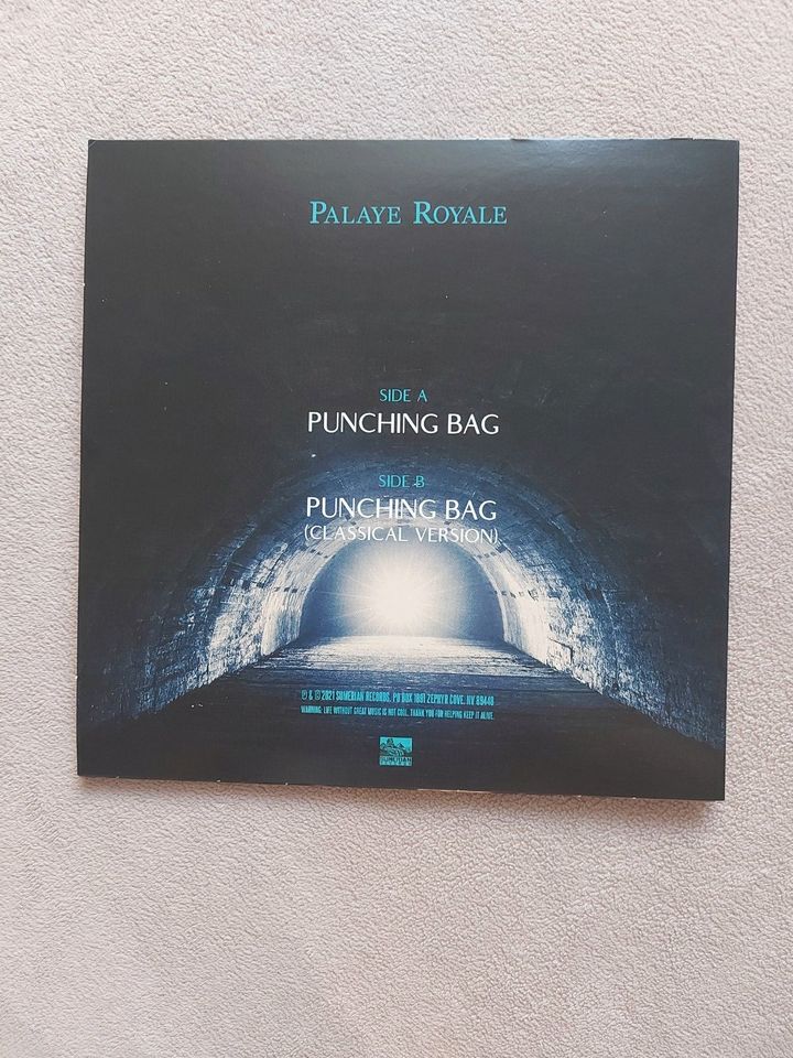 Palaye Royale Punching Bag Single Vinyl 7' in Neusäß