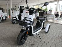 Andere ARI 145 Lastenmoped 1,6kW / 2,2PS Bayern - Aicha vorm Wald Vorschau