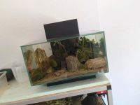 Fluval edge Aquarium Nordrhein-Westfalen - Ahlen Vorschau