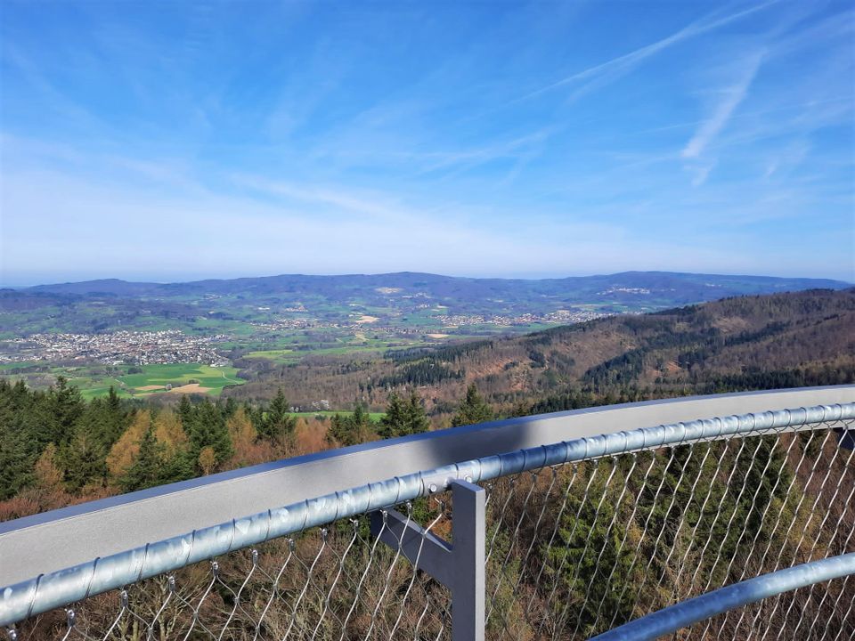 Odenwald: Ruhe und Natur für 2-5 Pers. im urigen Bauernhaus in Rimbach