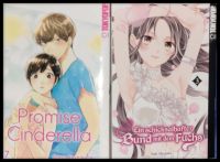 Manga (1 von Oreco Tachibana & 1 von Yuki Shiraishi) NEU Schleswig-Holstein - Großhansdorf Vorschau