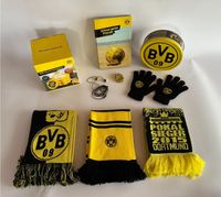 BVB Schal Buch Kopfhörer Handschuhe Borussia Dortmund schwarz 1A Baden-Württemberg - Aichtal Vorschau