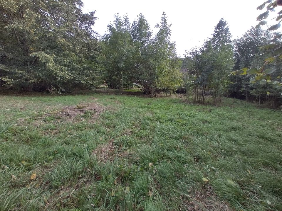 Großes wildes Gartengrundstück zu verpachten in Feuchtwangen