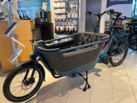 Winora Lasten-Elektro-Fahrrad Cargo-Bike F.U.B 2W Bosch CX 500Wh Niedersachsen - Werlte  Vorschau