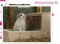Kaninchengehege aus Holz fuer den Innenraum mit Einrichtung Süd - Niederrad Vorschau