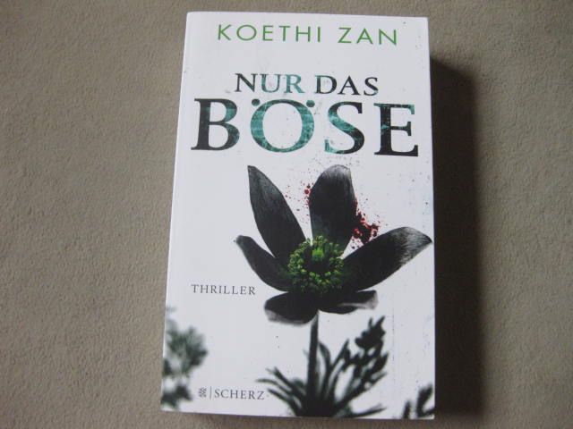 Nur das Böse / Koethi Zan in Celle