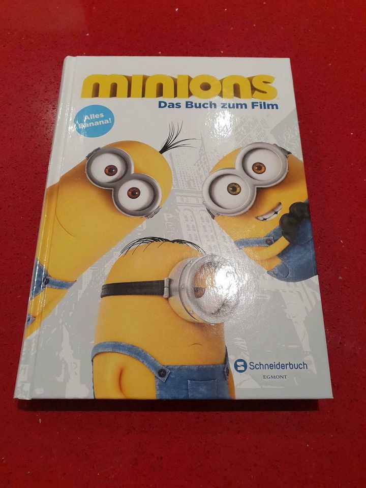 Minions  Das Buch zum Film -  Kinderbuch in Lengefeld