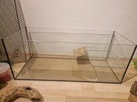 Terrarium / Schildkrötenbecken Baden-Württemberg - Krauchenwies Vorschau