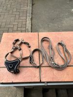 Wolters Set Halsband Leine Geschirr Professional Comfort Niedersachsen - Vienenburg Vorschau