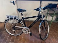 Carver Fahrrad 7005 Alu 28 Zoll Nordrhein-Westfalen - Bad Honnef Vorschau