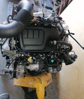 Motor Renault Trafic 1.6 DCI R9MH452 KOMPLETT 60Tkm.Biturbo 160PS Brandenburg - Küstriner Vorland Vorschau