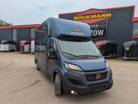 Böckmann Pferde LKW Fiat Ducato Maxi Compact Stall Neufahrzeug Güstrow - Landkreis - Bützow Vorschau