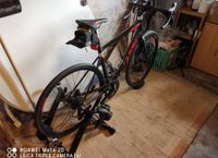 Attain SL Disc 28 Zoll Herrenfahrrad Brandenburg - Perleberg Vorschau