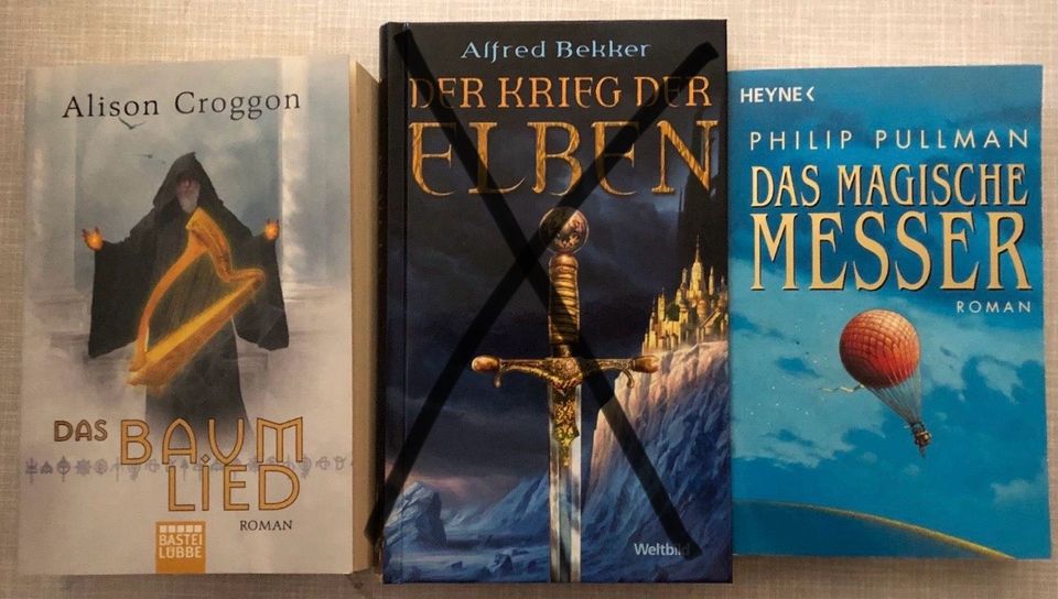 Bücher Romane Fantasy Tempel Drachen Elben Magier Hexen Dan Brown in Sand a. Main