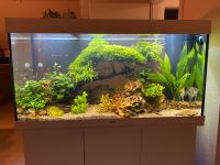 Aquarium Juwel Rio 350 LED inkl. Schrank und Zubehör für 500€ Heilbronn - Neckargartach Vorschau