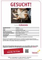 Katze Flöckchen vermisst Nürnberg (Mittelfr) - Südoststadt Vorschau