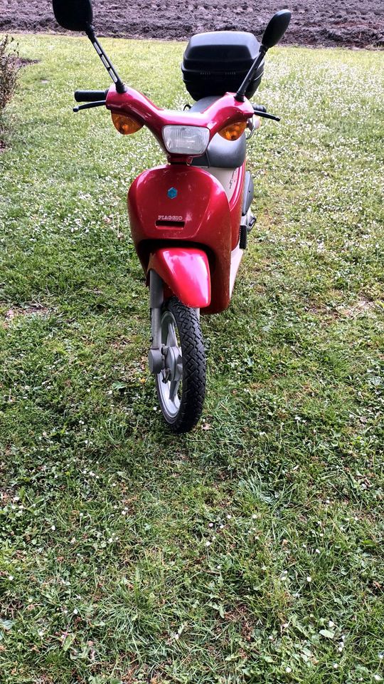 Motorroller Piaggio Free 50 in Oldenburg