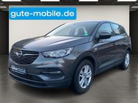 Opel Grandland (X) 1,2l*Edition|Navi|Carplay|Android Baden-Württemberg - Krauchenwies Vorschau