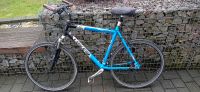 Cross und Trekking Fahrrad  28 Zoll Lakes LTX 4004 Nordrhein-Westfalen - Bergneustadt Vorschau