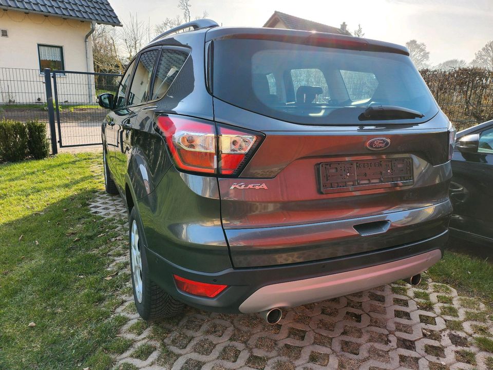 Ford Kuga Cool & Connect 1,5 4x2 Winter-Paket. Parkassistent..... in Grabowhöfe