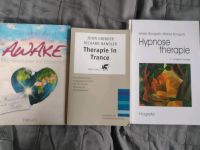 Hypnose Hypnosebücher Workbook Empowerment Trance Therapie Brandenburg - Zühlsdorf Vorschau