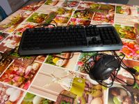 ♥️♥️Beleuchtete Gaming /Tastatur mit Maus zu verkaufen Niedersachsen - Westoverledingen Vorschau