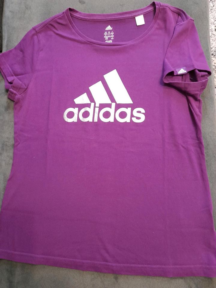 Adidas T-shirt in Coswig