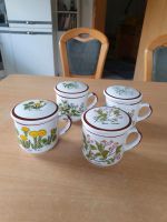 4 Teetassen Porzellan mit Teesieb und Deckel Neu Kräutermotiv Nordrhein-Westfalen - Lengerich Vorschau