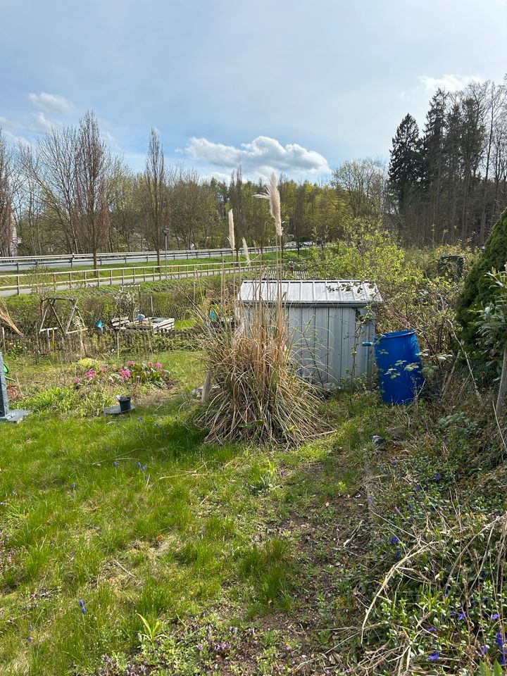 Garten mit massivem Gartenhaus in Doberan Ostseenähe in Bad Doberan