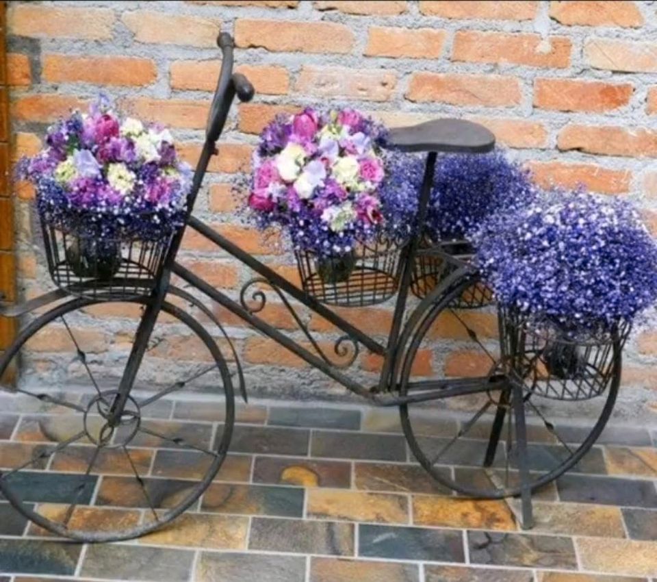 Als Gartendeko vorbereite ich ihre Fahrrad mit oder ohne Pflanzen in Versmold