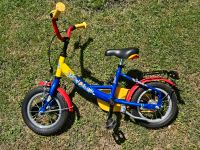 Delphin Kinderfahrrad 12,5 Zoll Hessen - Langen (Hessen) Vorschau