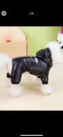 Wind- und wasserdichte Hundejacke/Katzenjacke XXL Nordrhein-Westfalen - Oberhausen Vorschau