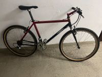 IBIS Mojo Bike Klassiker aus 1991 Retro Kult Stuttgart - Stuttgart-Nord Vorschau