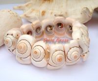 Armband Muschel Schnecke elastisch Nordrhein-Westfalen - Erftstadt Vorschau