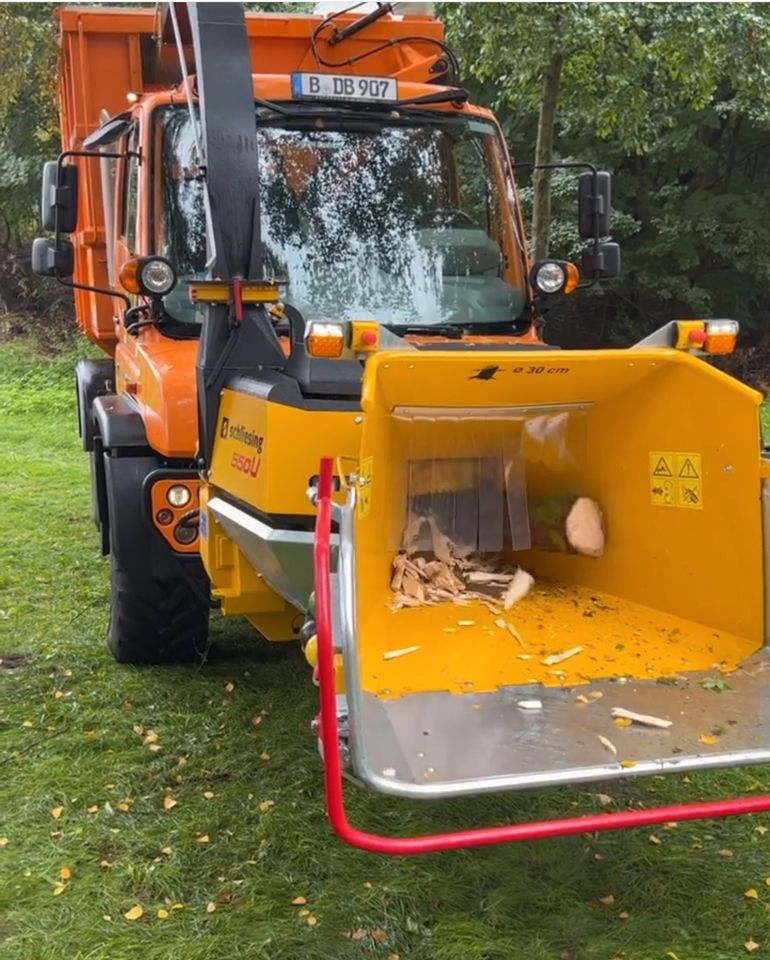 Baumpflege Fräsen Baumfällung Baumservice Dachrinnenreinigung in Zwickau