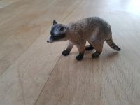 Schleich Waschbär Baden-Württemberg - Ladenburg Vorschau