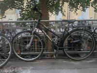 Damen Fahrrad Raleigh 21 Gang Shimano - für Bastler Friedrichshain-Kreuzberg - Kreuzberg Vorschau