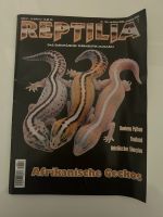 Gecko Bundle Reptilien Nordrhein-Westfalen - Netphen Vorschau