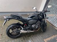 Honda Hornet CB600 FA Nordrhein-Westfalen - Langenfeld Vorschau