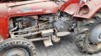 MF 35 Oldtimer Traktor 1962 zum restaurieren mit Papieren Rheinland-Pfalz - Gondershausen Vorschau