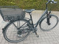 Contoura Parma 28 Zoll Fahrrad Nordrhein-Westfalen - Unna Vorschau