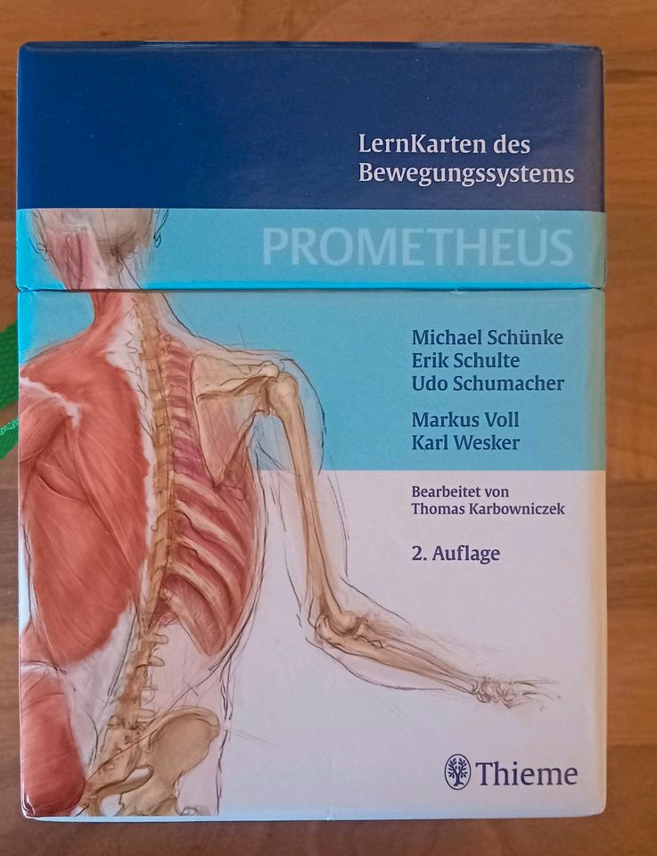 Prometheus Lernkarten des Bewegungssystem in Frohburg