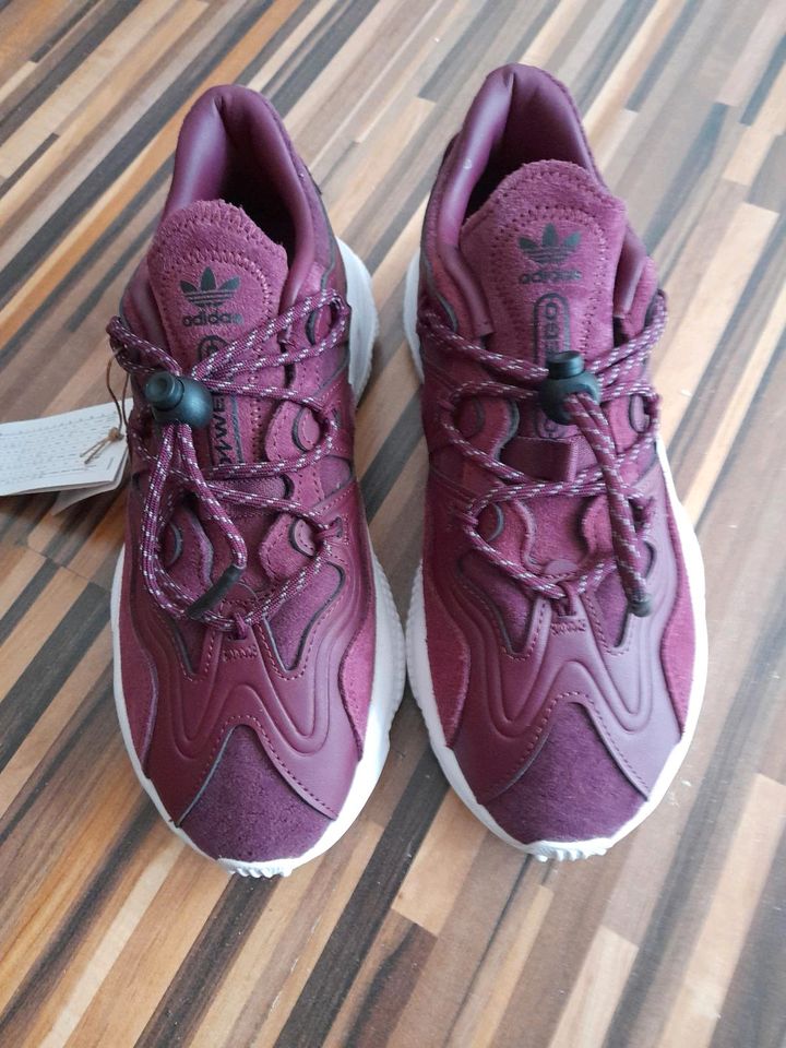 ADIDAS OZWEEGO .39 1/3 NEU in Nürnberg (Mittelfr)