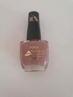 Astor Perfect Stay Gel Shine Nagellack Symbolic Lila Nordrhein-Westfalen - Paderborn Vorschau